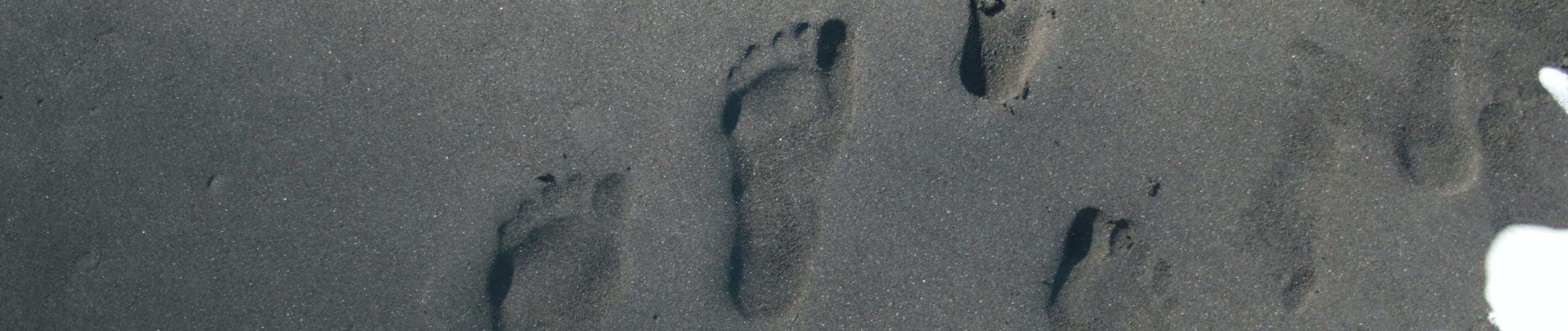 Fertility and Pregnancy