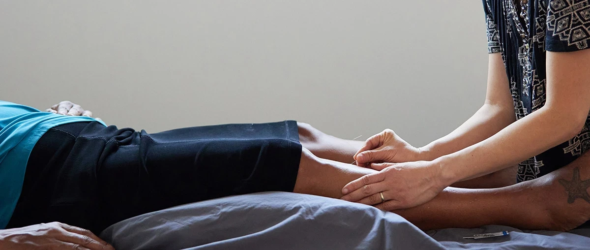 Exceptional Acupuncture and<br>Asian Medicine Services<br> for the Triangle